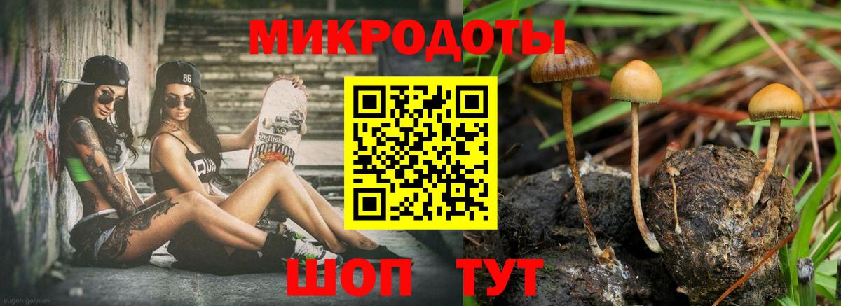 Псилоцибиновые грибы MAGIC MUSHROOMS  Вход с VPN  Гатчина 