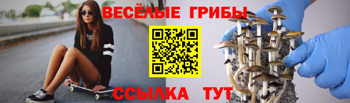 Конопля  APVP СК кристаллы  Метамфетамин  Меф МЯУ МЯУ   Гатчина  Вход с VPN  ГАШИШ 