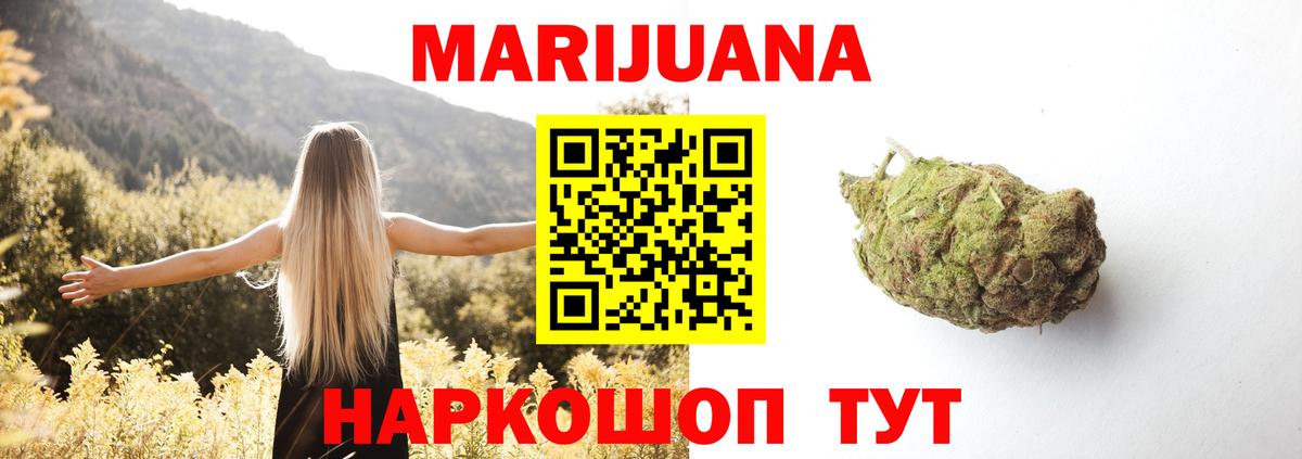 Бошки марихуана семена  Марихуана план  Конопля тримм  Вход с VPN  Гатчина 